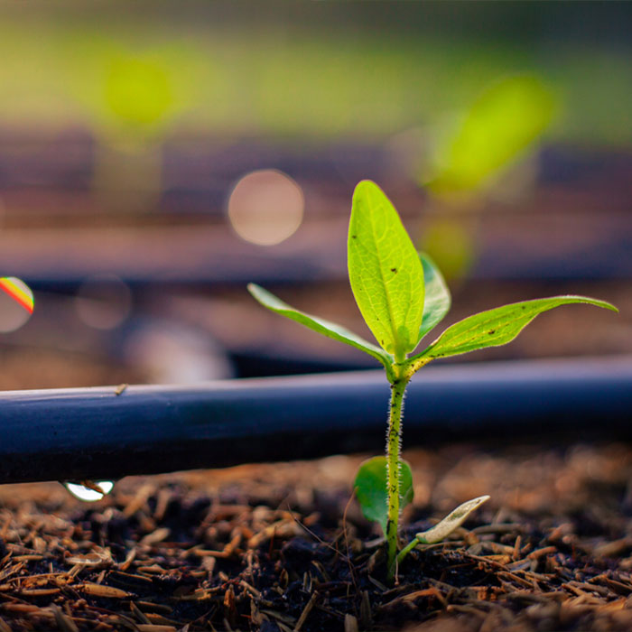 irrigation-project-new-2